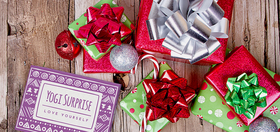 Yogi Surprise Holiday Box SPoiler Sneak Peek