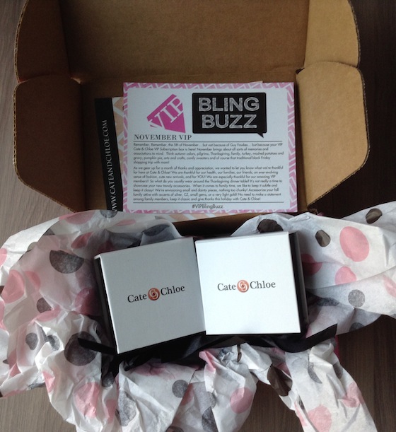 Cate & Chloe Subscription Box Review & Coupon – November 2014 Items