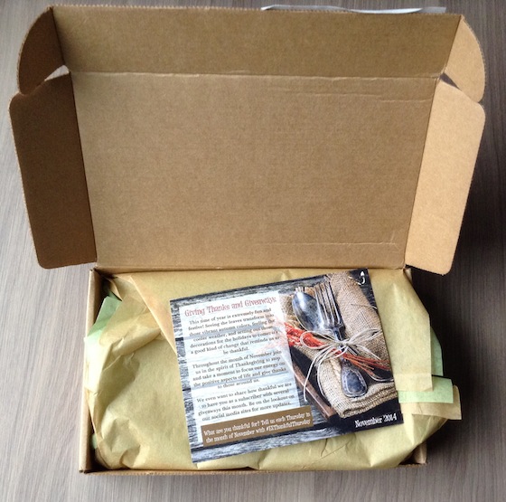 Eco Emi Deluxe Beauty Box Subscription Review – November 2014 Box