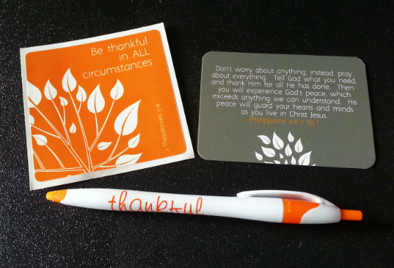 Love + Blessed Subscription Box Review - November 2014 Pen