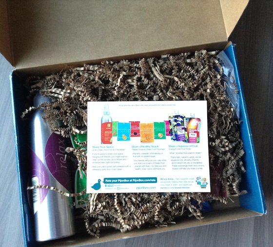 Pijon Box Subscription Review & Coupon Code – Nov 2014 Box