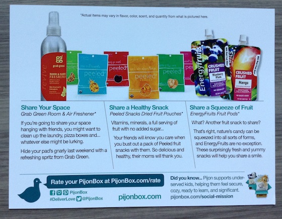 Pijon Box Subscription Review & Coupon Code – Nov 2014 Card