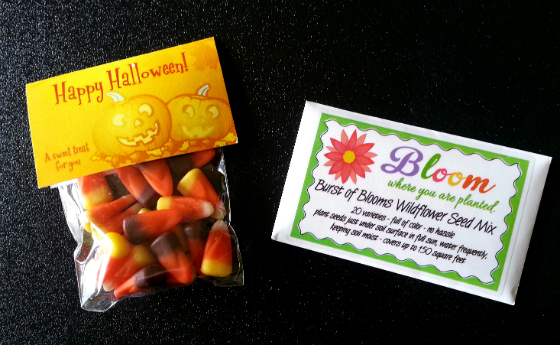 The Sassy Box Subscription Box Review - October 2014 Candy Corn