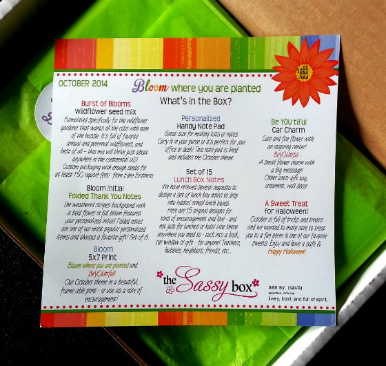 The Sassy Box Subscription Box Review - October 2014 Info