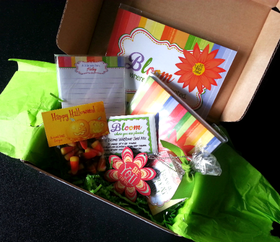 The Sassy Box Subscription Box Review - October 2014 Items