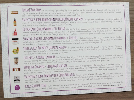 Yogi Surprise Subscription Box Review – November 2014 Info