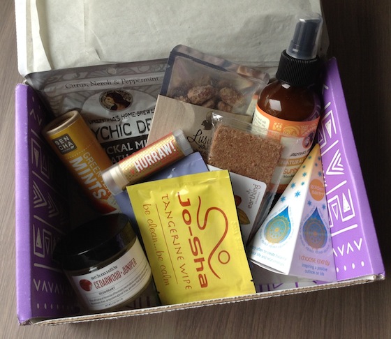 Yogi Surprise Subscription Box Review – November 2014 Items