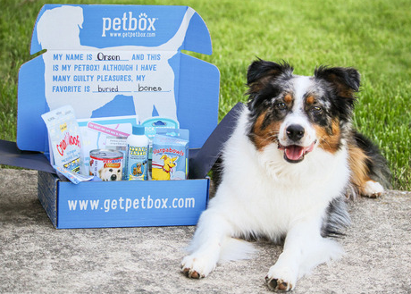 Pet Box