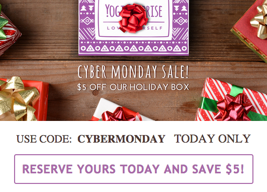 Yogi Surprise Holiday Box Cyber Monday Coupon – $5 Off