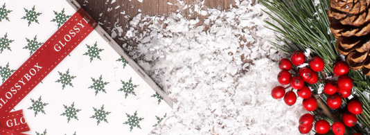 GlossyBox December 2014 Spoiler #3 Box