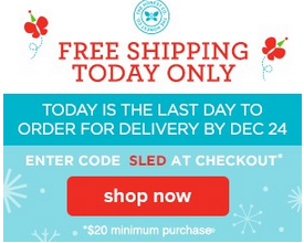 Today Only – Free Shipping at Honest Company!