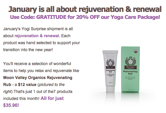 Yogi Surprise January Box Spoiler
