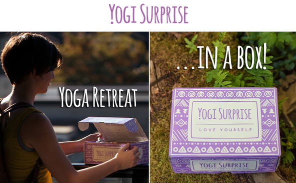 Yogi Surprise January 2014 Box Spoiler 