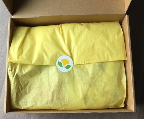 Citrus Lane Review & Coupon Code – December 2014 Box