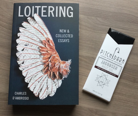 Powell's Books Indiespensible Subscription Box Review - Vol. 50 Chocolate
