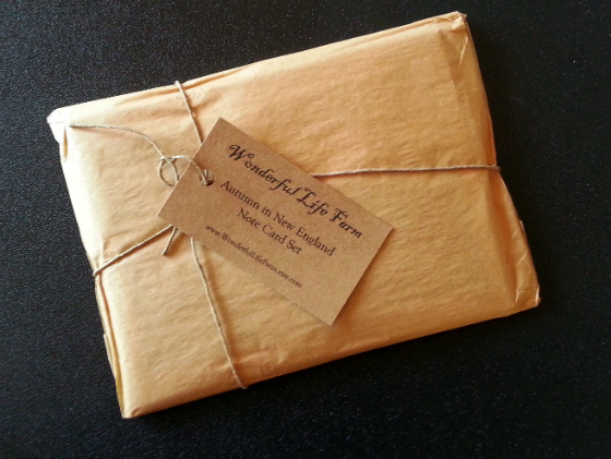 New England Sack Subscription Box Review - Nov 2014 Wrapped