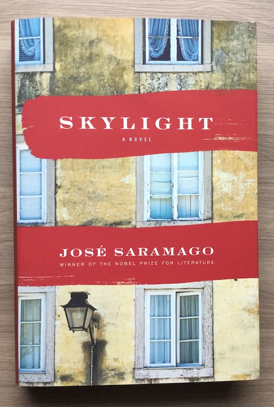 Riot Read Monthly Book Club Subscription Review #RRD06 Skylight