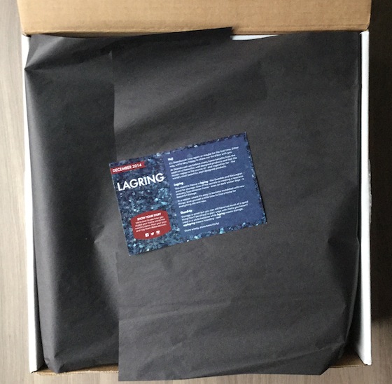 Skandicrush Subscription Box Review – December 2014 Box