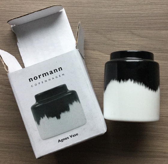 Skandicrush Subscription Box Review – December 2014 Vase