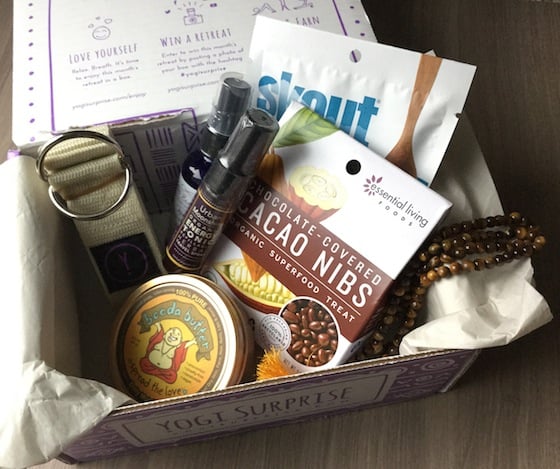 Yogi Surprise Subscription Box Review – December 2014 Items