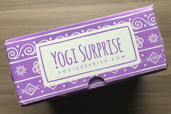Yogi Surprise Holiday Box Review  Box
