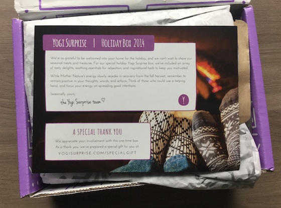 Yogi Surprise Holiday Box Review First Look