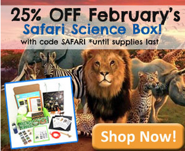 25% Off the February Green Kid Crafts Box!