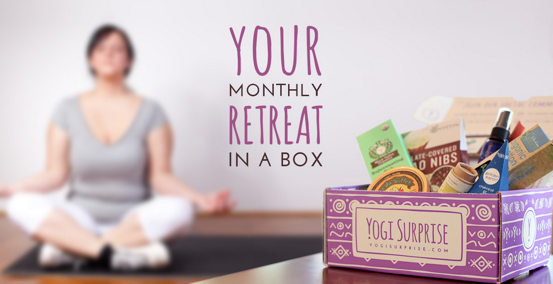 Yogi Surprise February 2015 Box Spoiler #2! Box