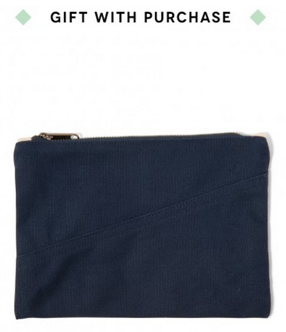 Case