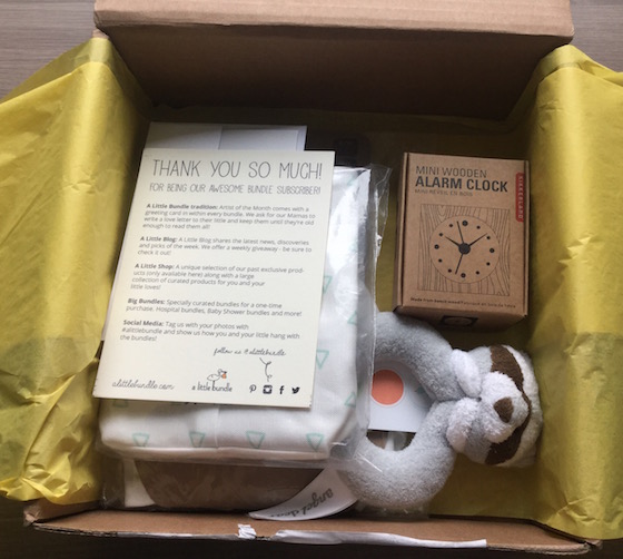 A Little Bundle Subscription Box Review - January 2015 Box