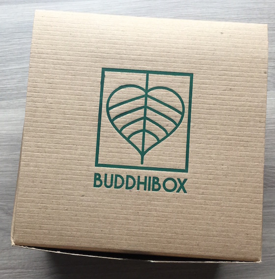 BuddhiBox Subscription Box Review – January 2015 Box