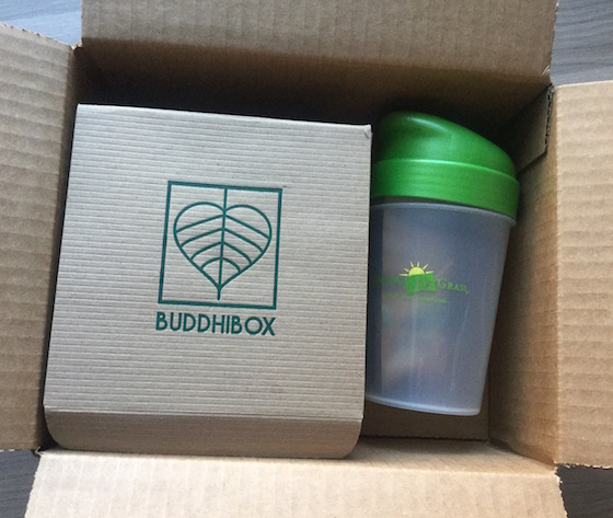 BuddhiBox Subscription Box Review – December 2014 Box