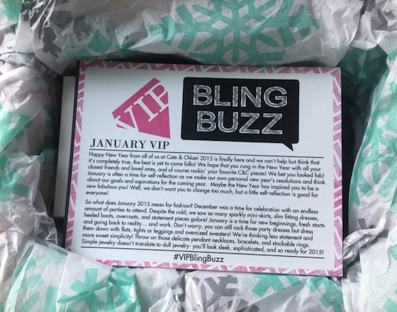 Cate & Chloe Subscription Box Review – January 2015 First Look