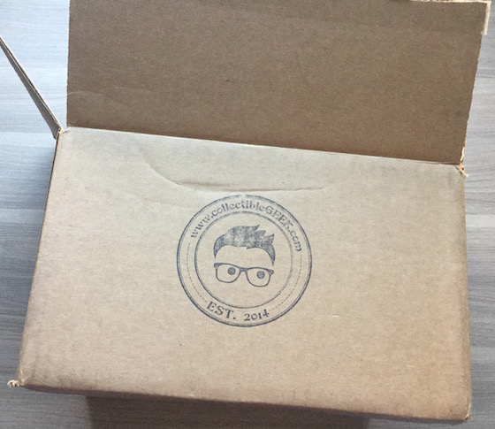 Collectible Geek Collector's Cache Review - January 2015 Box