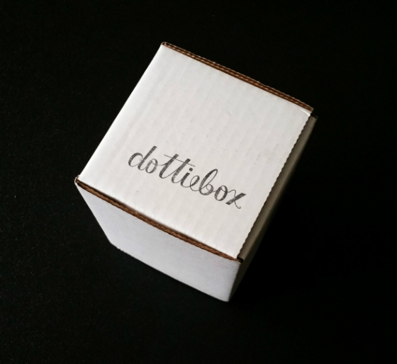 Dottie Box Mini Subscription Box Review – January 2015 Box