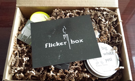 Flicker Box Subscription Box Review - January 2015 Inside