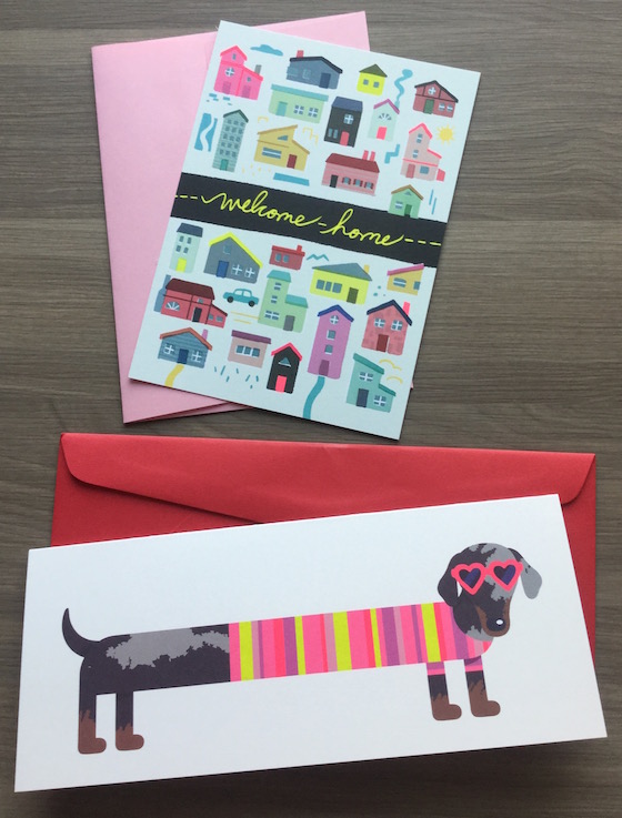 A Beautiful Mess Happy Mail Subscription Review – Jan 2015 Pup
