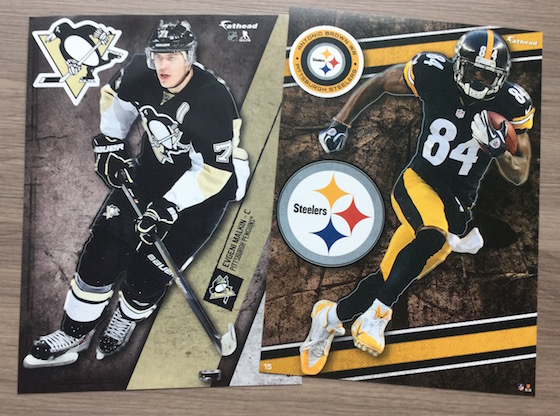 Sports Crate Subscription Box Review - January 2015 Fat Heads