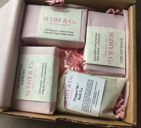 Sudsy Box Subscription Review – February 2015 ITems