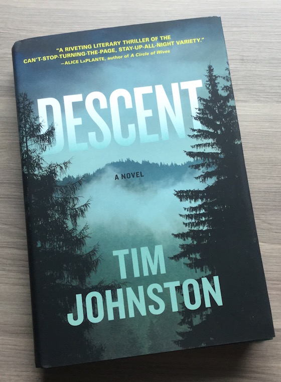 Book People Trust Fall Subscription Box Review - Jan 2015 Descent