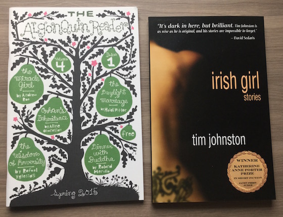 Book People Trust Fall Subscription Box Review - Jan 2015 Irish Girl
