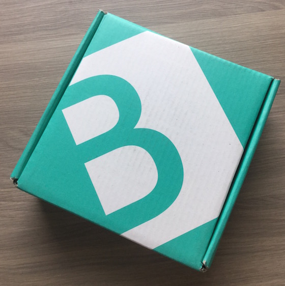 Your Bijoux Box Jewelry Subscription Box Review – Jan 2015 Box