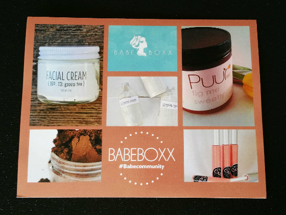BabeBoxx Subscription Box Review - February 2015 Card