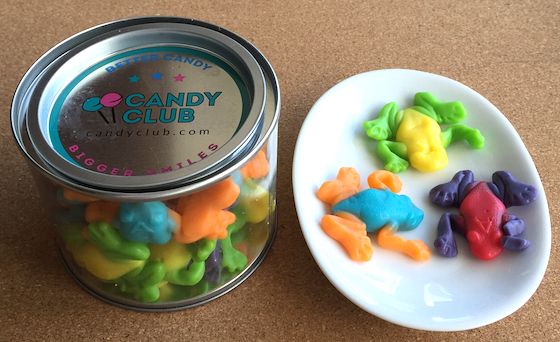 Candy Club Subscription Box Review – February 2015 Frogs