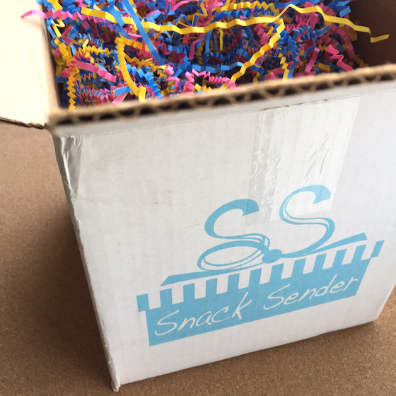 Snack Sender Subscription Box Review - February 2015 Open