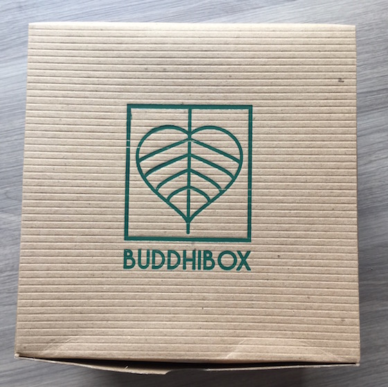 BuddhiBox Subscription Box Review – February 2015