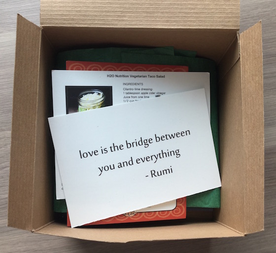 BuddhiBox Subscription Box Review – February 2015 First Look
