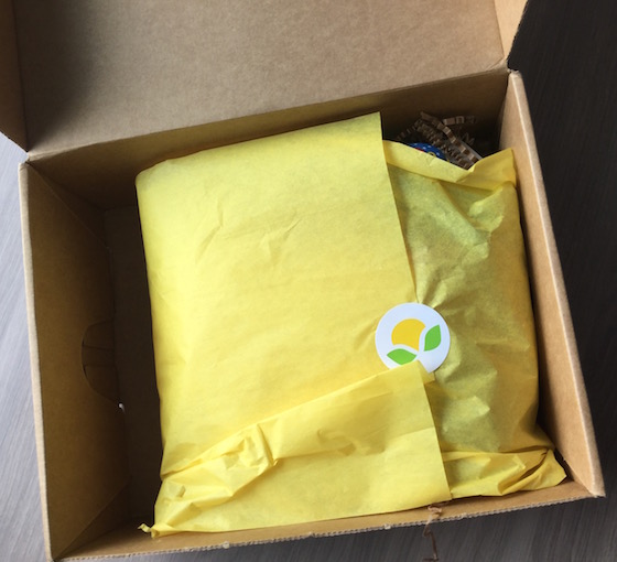 Citrus Lane Review & Coupon Code – February 2015 Box