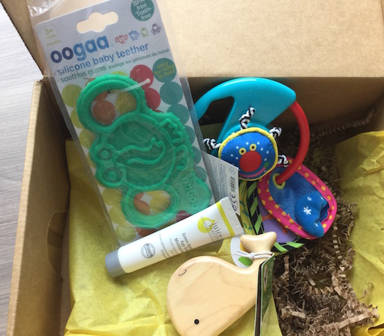 Citrus Lane Review & Coupon Code – February 2015 Items