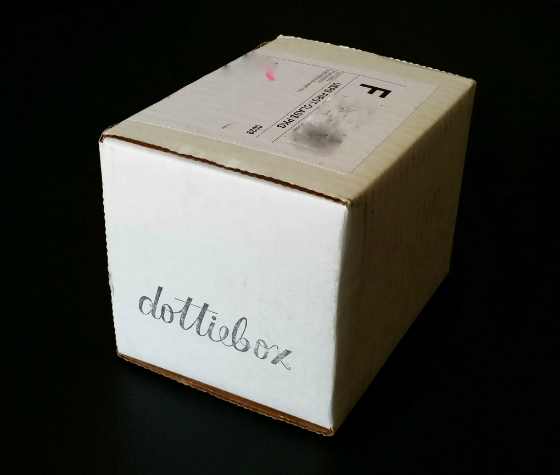 Dottie Box Mini Subscription Box Review – February 2015 Box